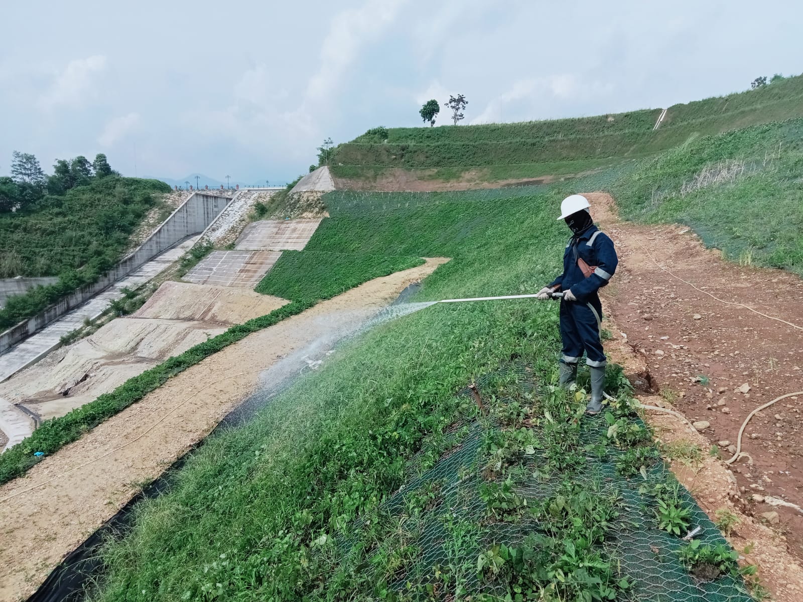 Erosion Control with Vegetation at Ciawi