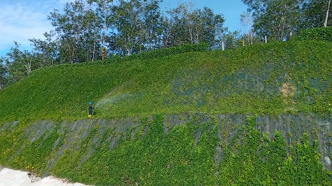 Erosion Control with Vegetation at Tebingtinggi